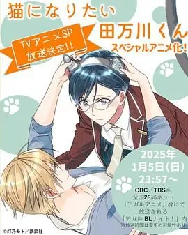 《想变成猫的田万川君》：一只猫的奇幻冒险？不，这是寻找自我的哲学之旅！